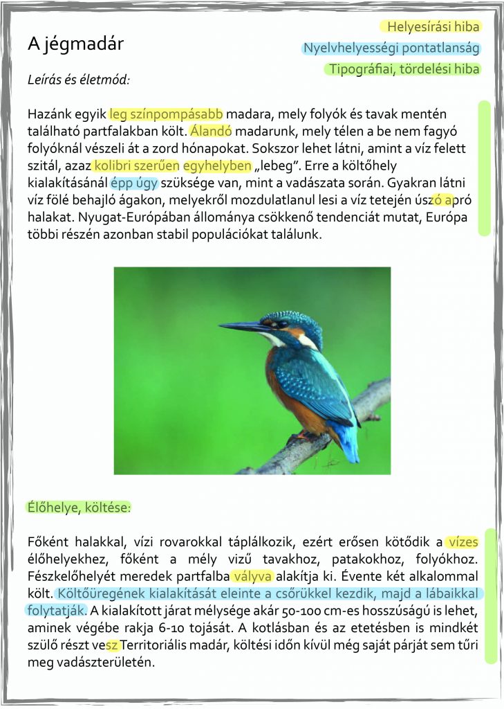 helyes-szöveg-korrektúra-jégmadár02