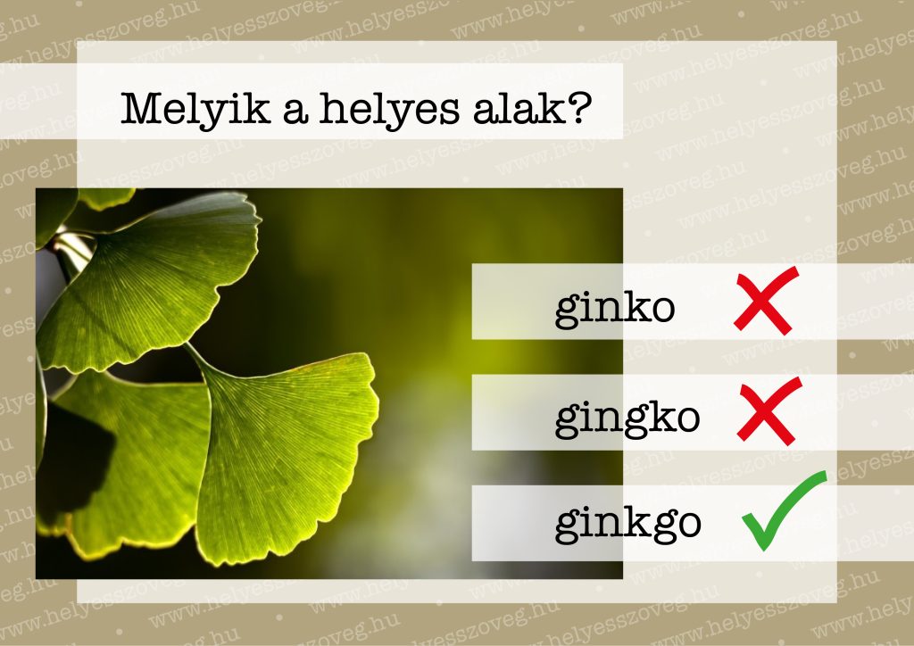 Helyes-szöveg-korrektor-korrektúra-helyesírás-Nyelvlecke-2024-07-19-ginkgo-02