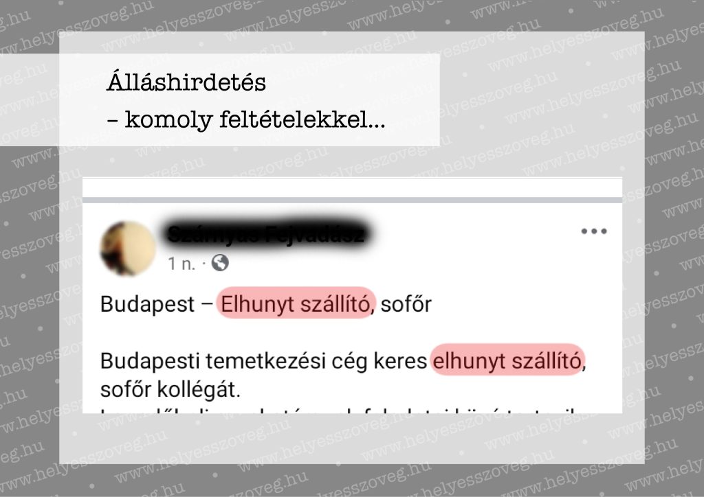 Helyes-szöveg-korrektúra-helyesírás-szöveggondozás-Nyelvlecke-2024-08-11-álláshirdetés-01