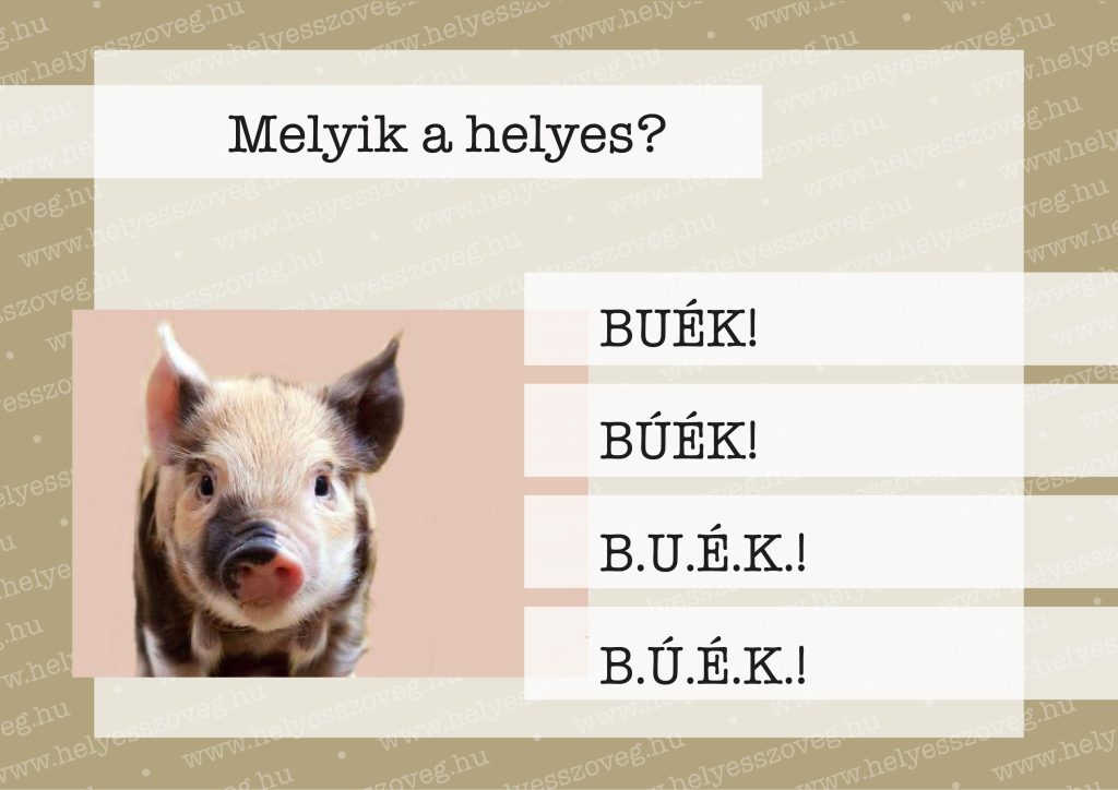 Helyes-szöveg-korrektor-korrektúra-helyesírás-Nyelvlecke-2024-12-31-BÚÉK-01