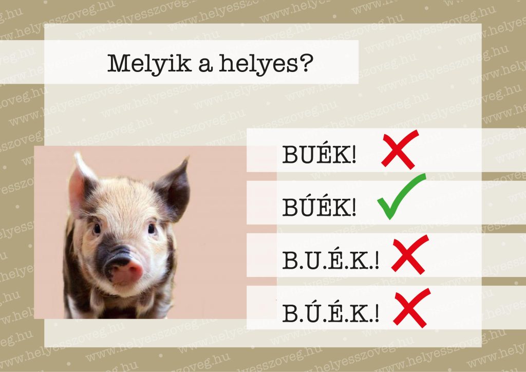 Helyes-szöveg-korrektor-korrektúra-helyesírás-Nyelvlecke-2024-12-31-BÚÉK-02